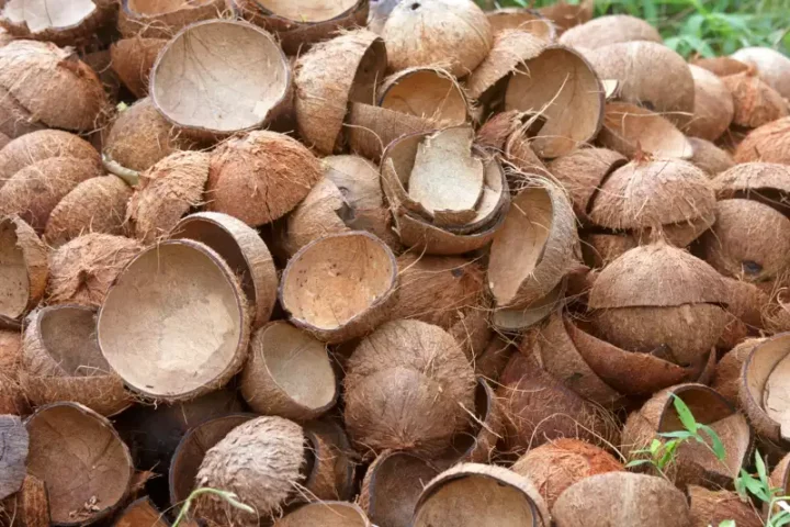 Coconut Shells As Raw Material