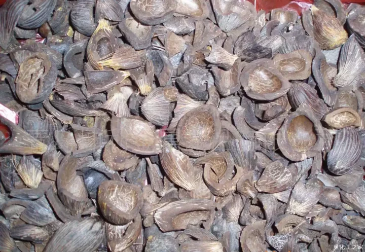 Coquilles de fruits de palmier