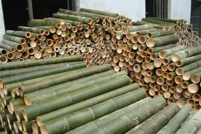 bamboo raw materials