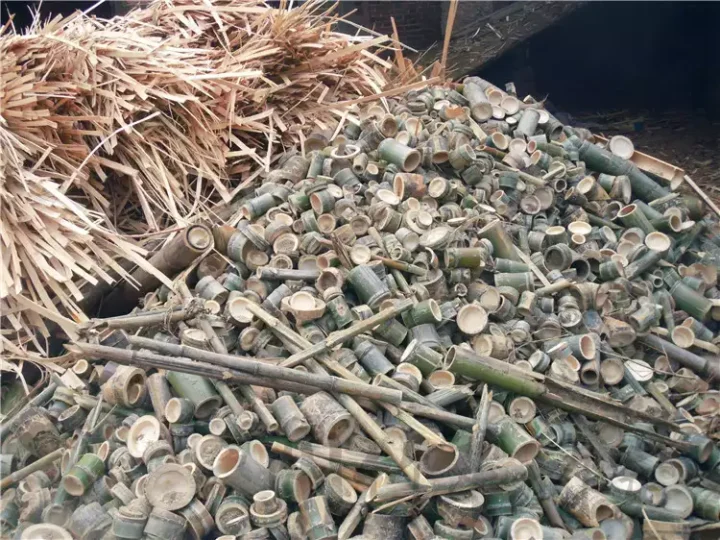 bamboo scraps
