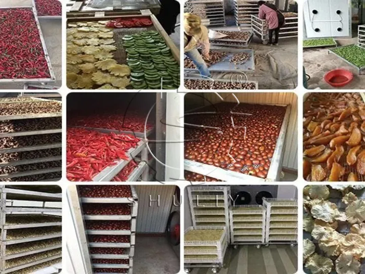 Aplicación del secado de carbón